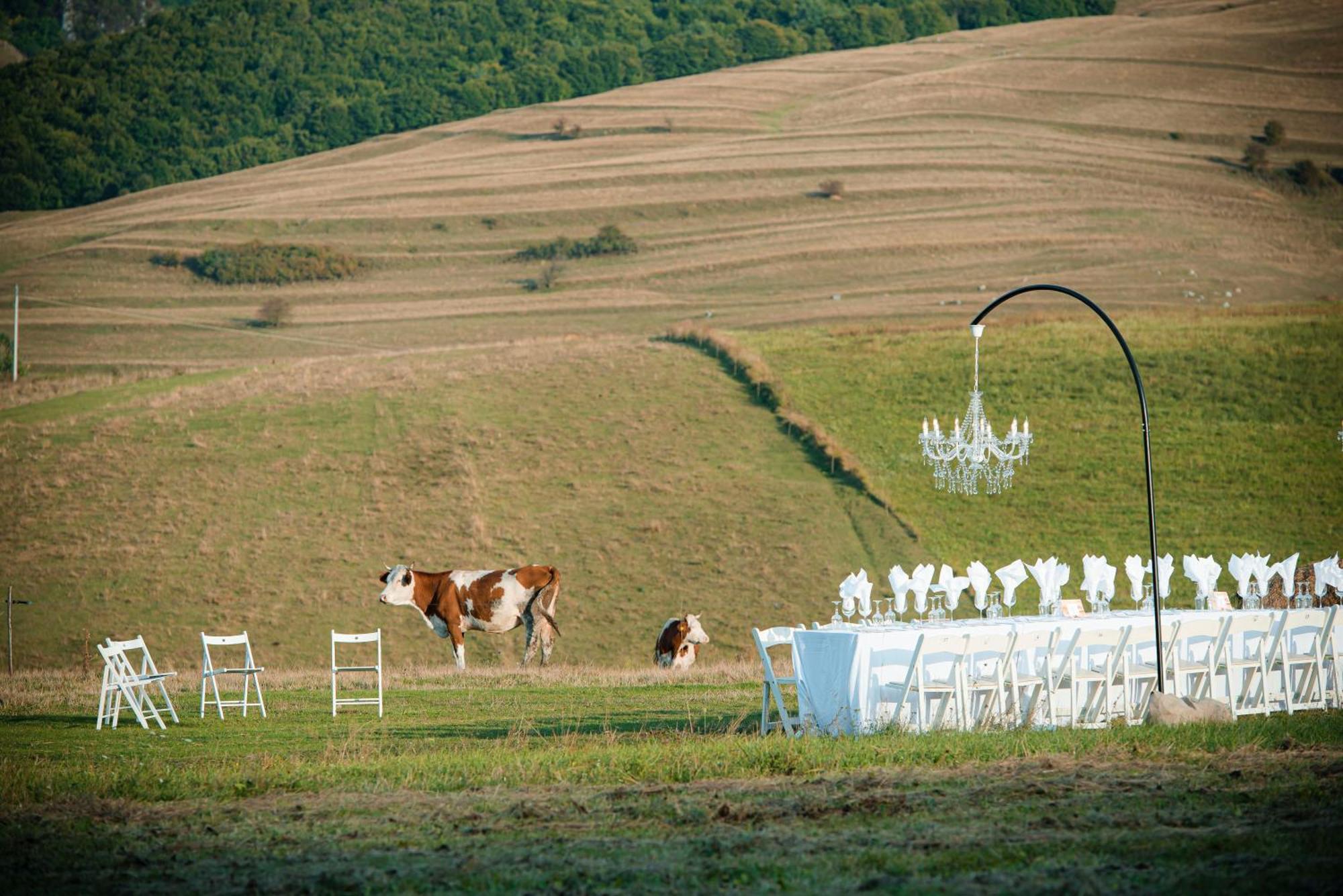 Ratiu House Hotel Turda Bagian luar foto